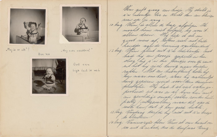 Pages of the diary