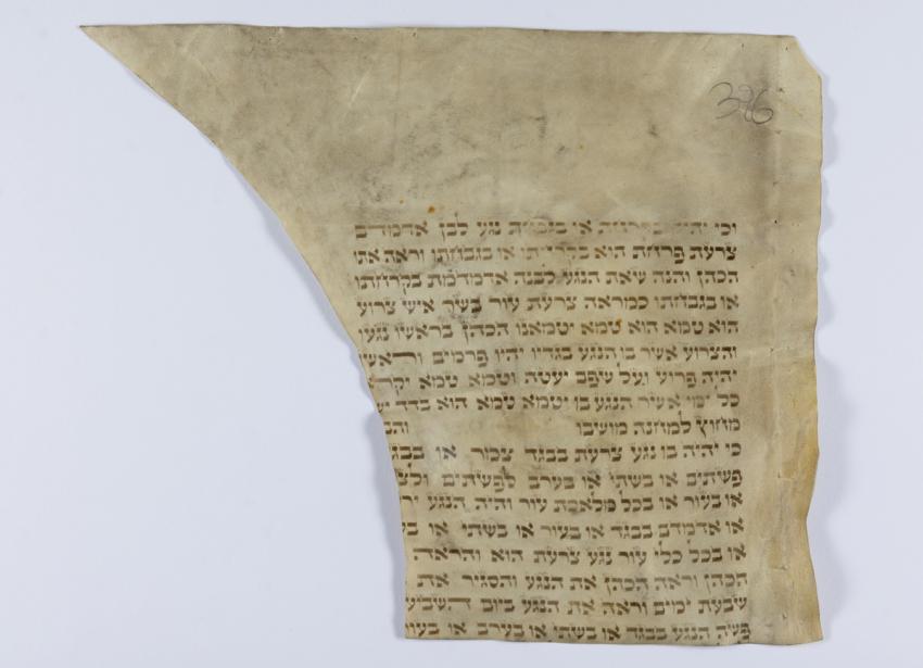 Torn piece of a Torah scroll parchment found by David Murin in Rozisce, Poland