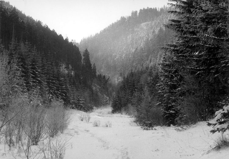 The way to the valley where the partisans and the Berger family were hiding